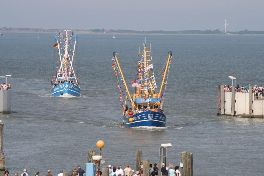 Regatta der Krabbenkutter vor Neuharlingersiel