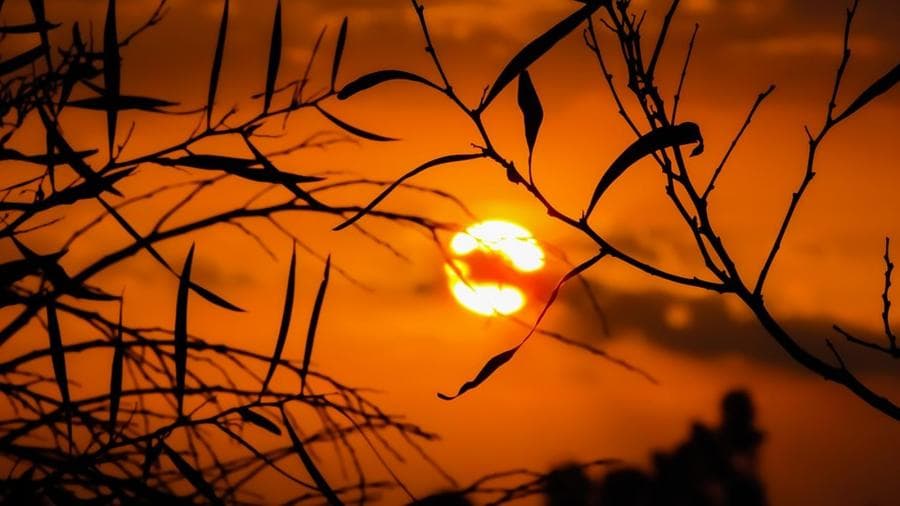Sonnenuntergang über dem Hafen Neuharlingersiel
